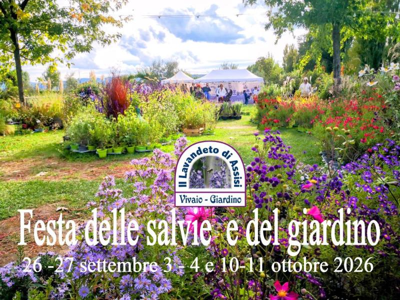 Poster of Festa delle Salvie in Assisi