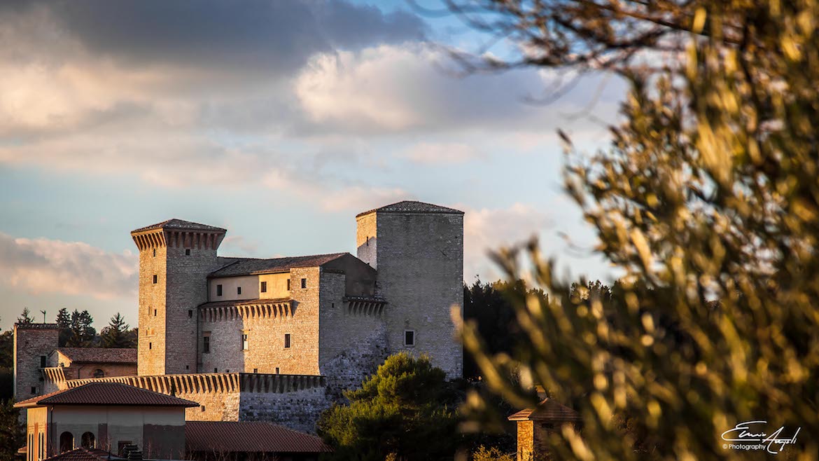 Rocca Flea