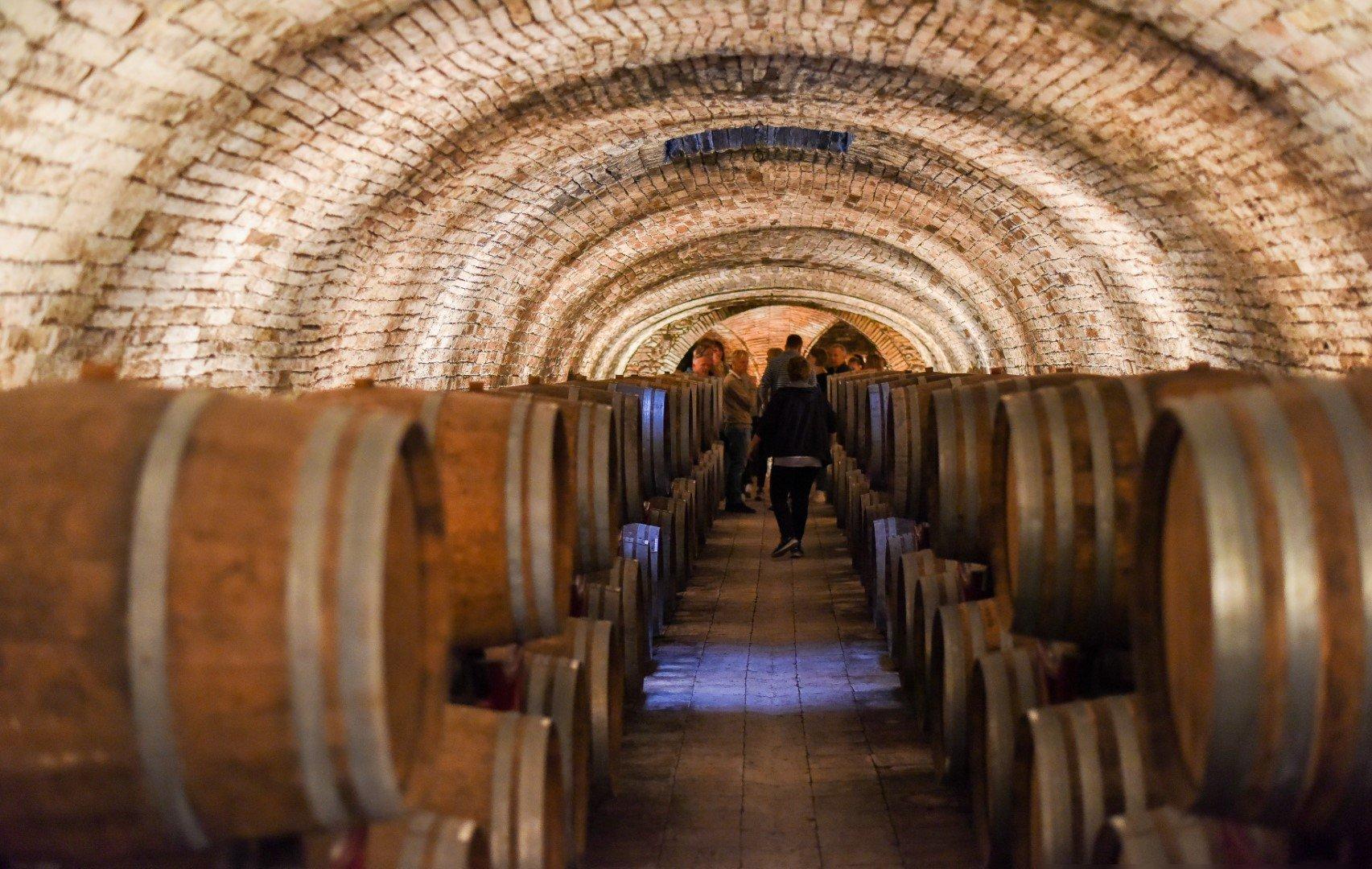 Titolo: Domaines viticoles