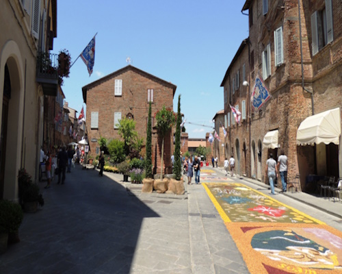 Dettaglio delle infiorate di San Luigi Gonzaga