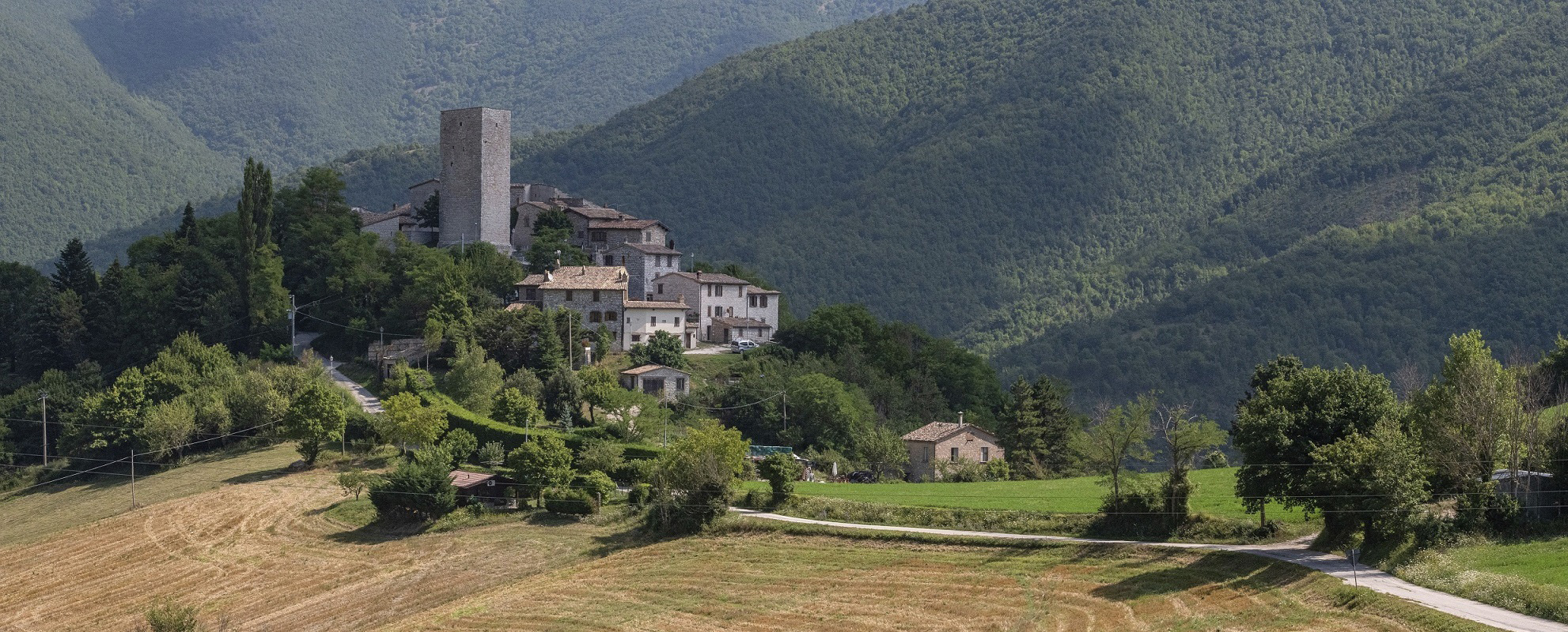 UMBRIA GREEN