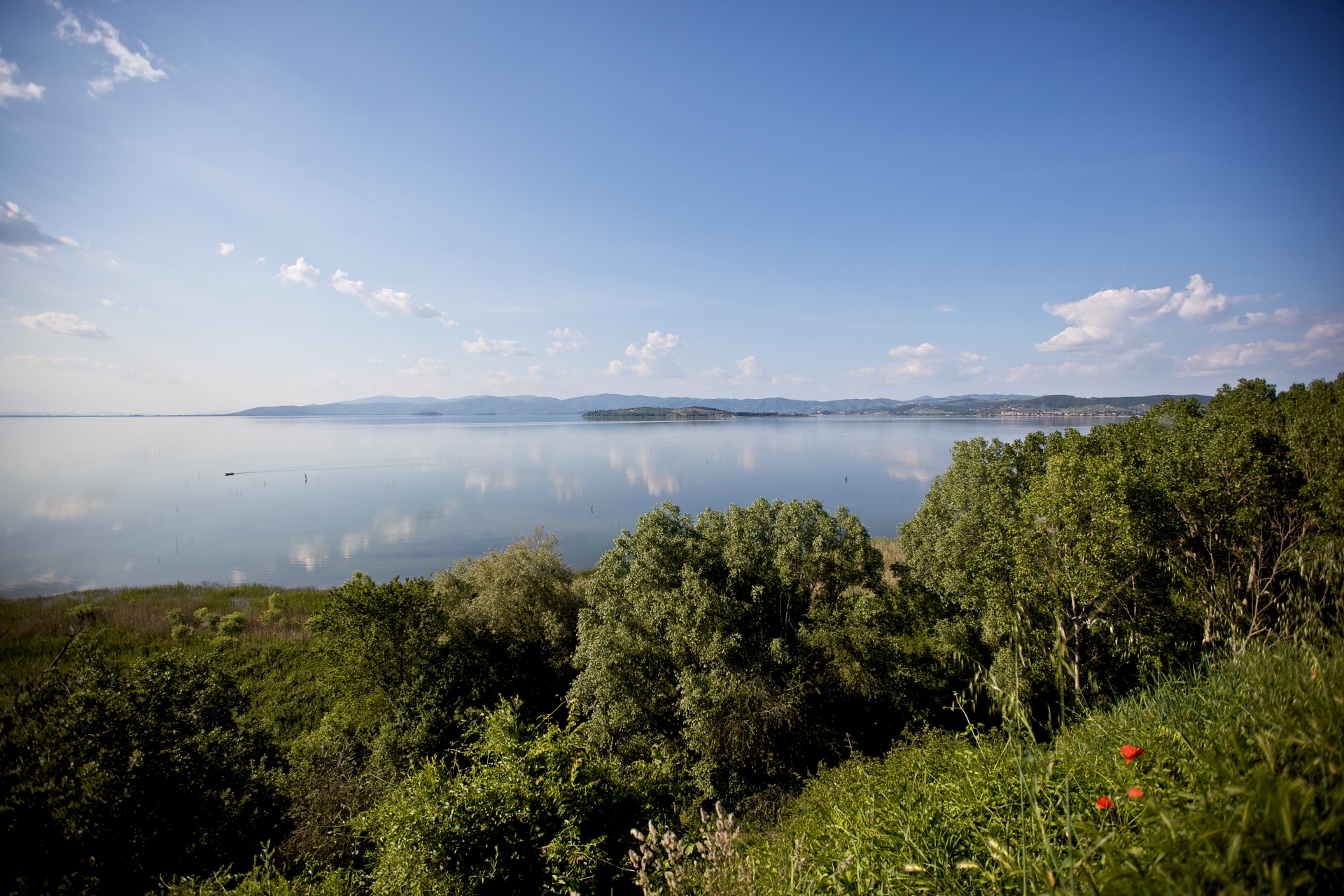Panoramic view of Lake Trasimeno with calm waters, foreground vegetation and hills in the distance.