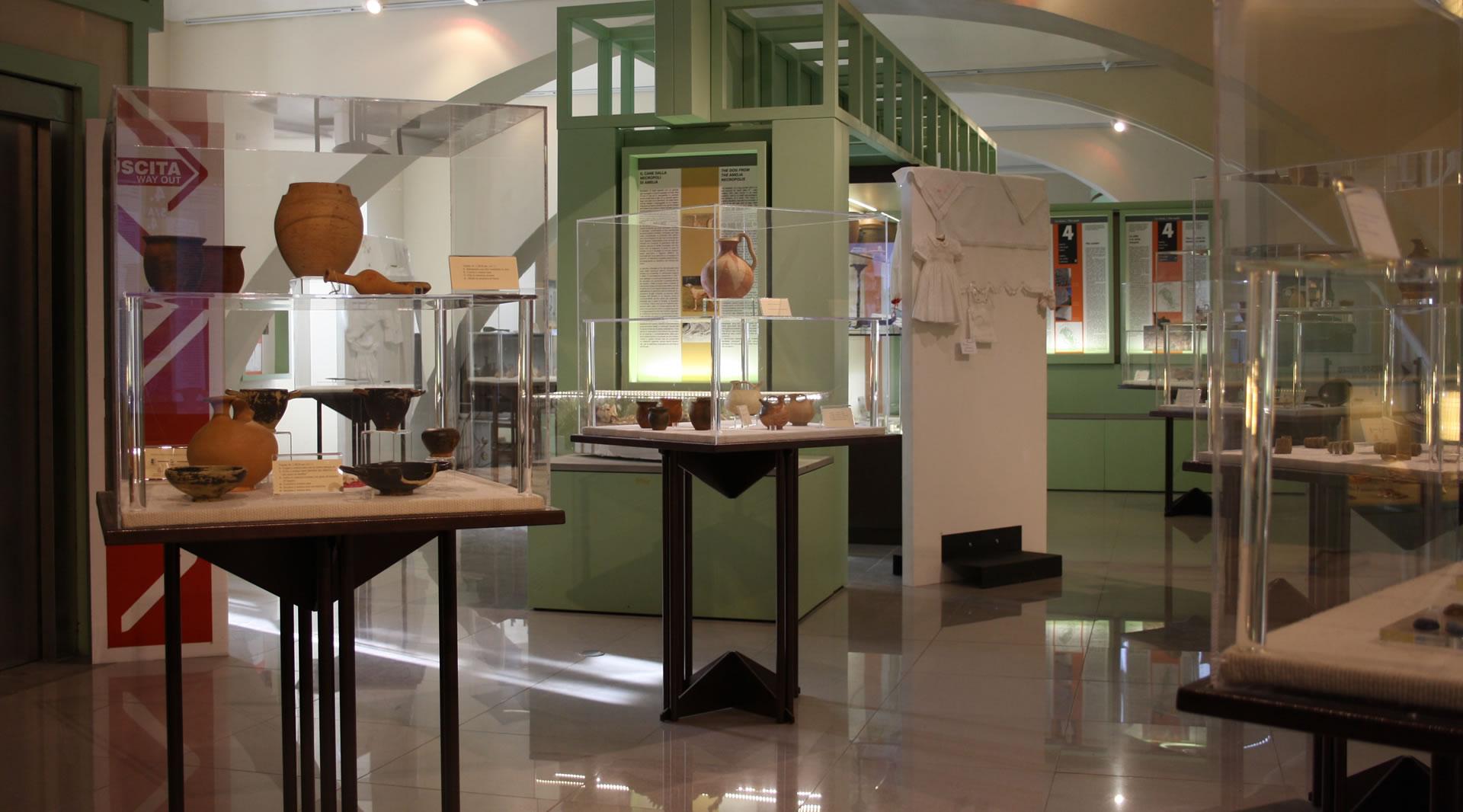 Museo archeologico di Amelia