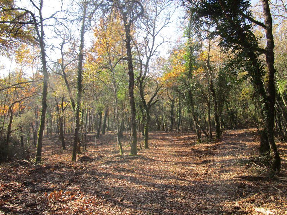 Riserva Mondiale della Biosfera Unesco del Monte Peglia