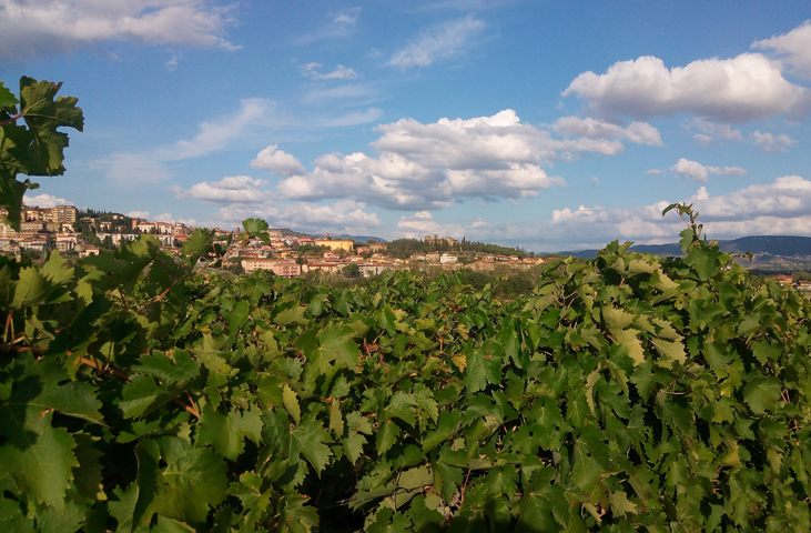 View of a hilly landscape with vineyards in the foreground and a village in the background, under a blue sky with scattered clouds.