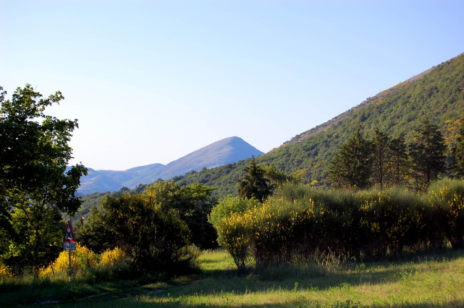 The Tezio Mount’s Park