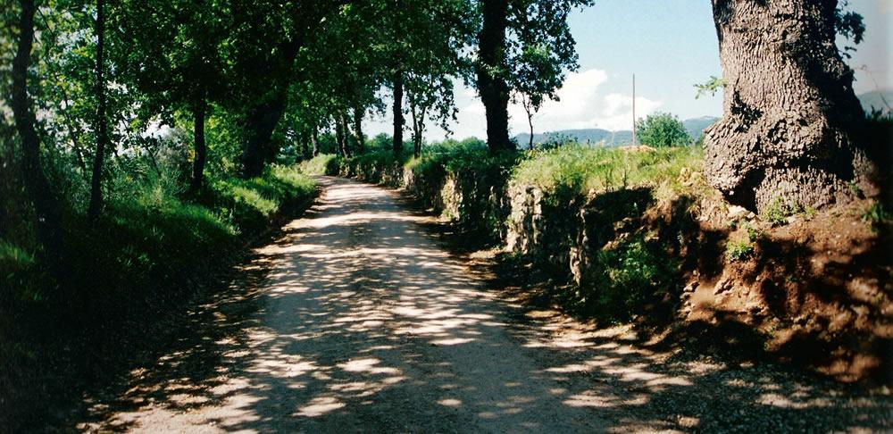 Il Vicus (BORGO ANTICO) Martis Tudertium