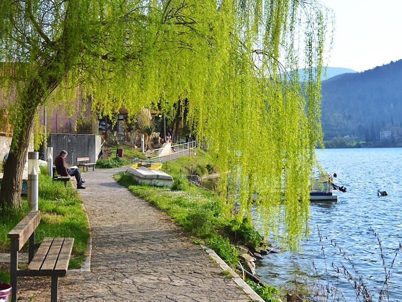 Lakeside path in Piediluco shaded by weeping willows, surrounded by nature and scenic lake views.