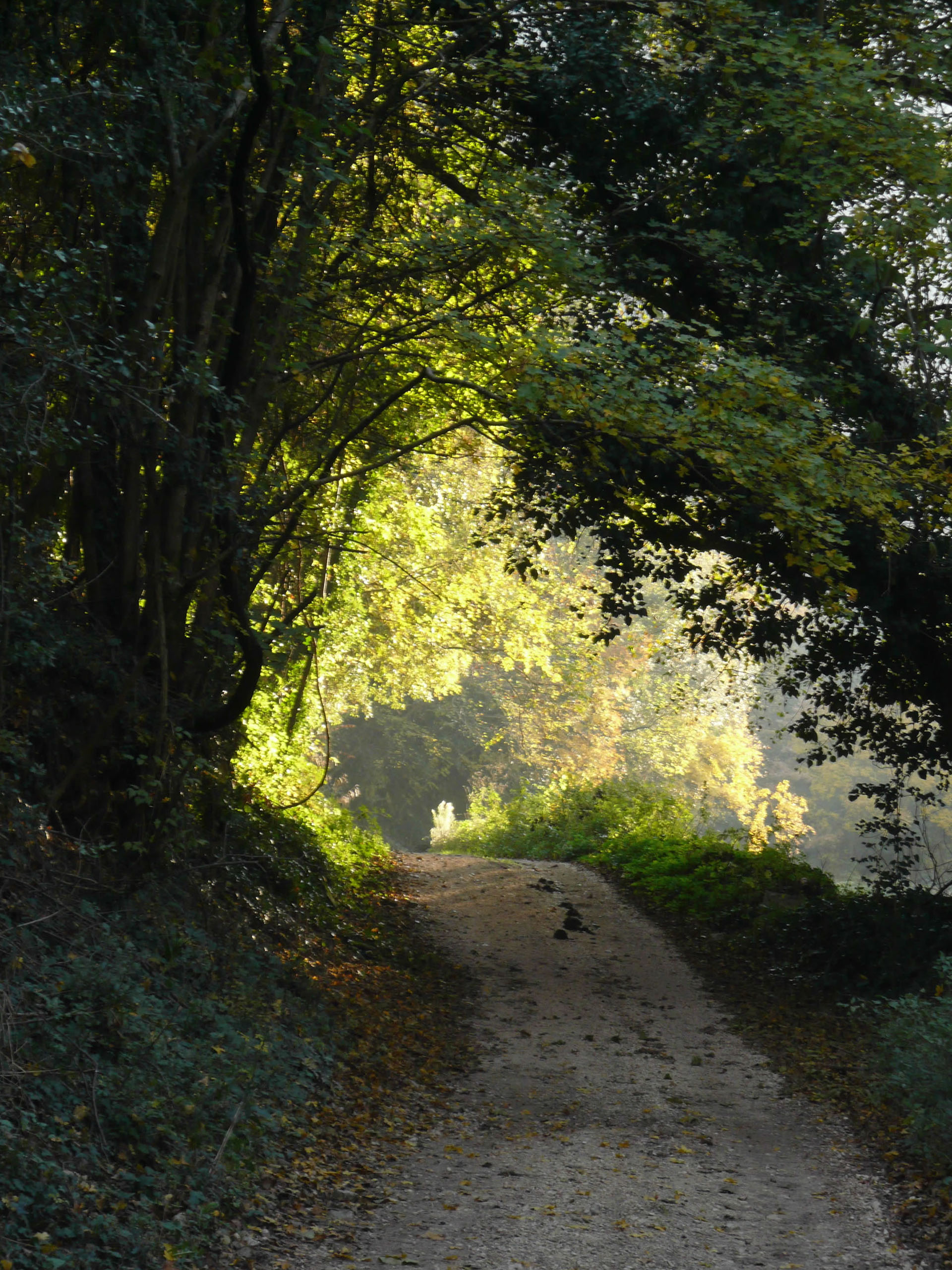 Ceselli: canyoning, rafting and trekking