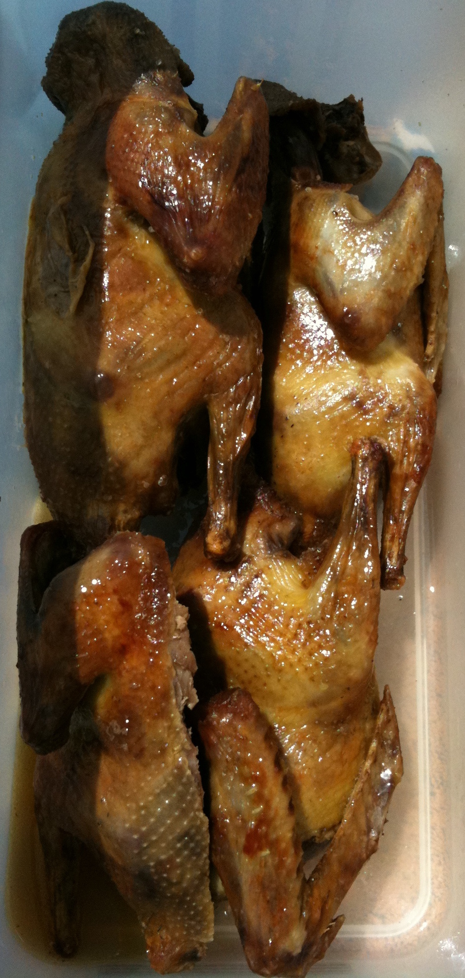 Arrosto morto di piccione