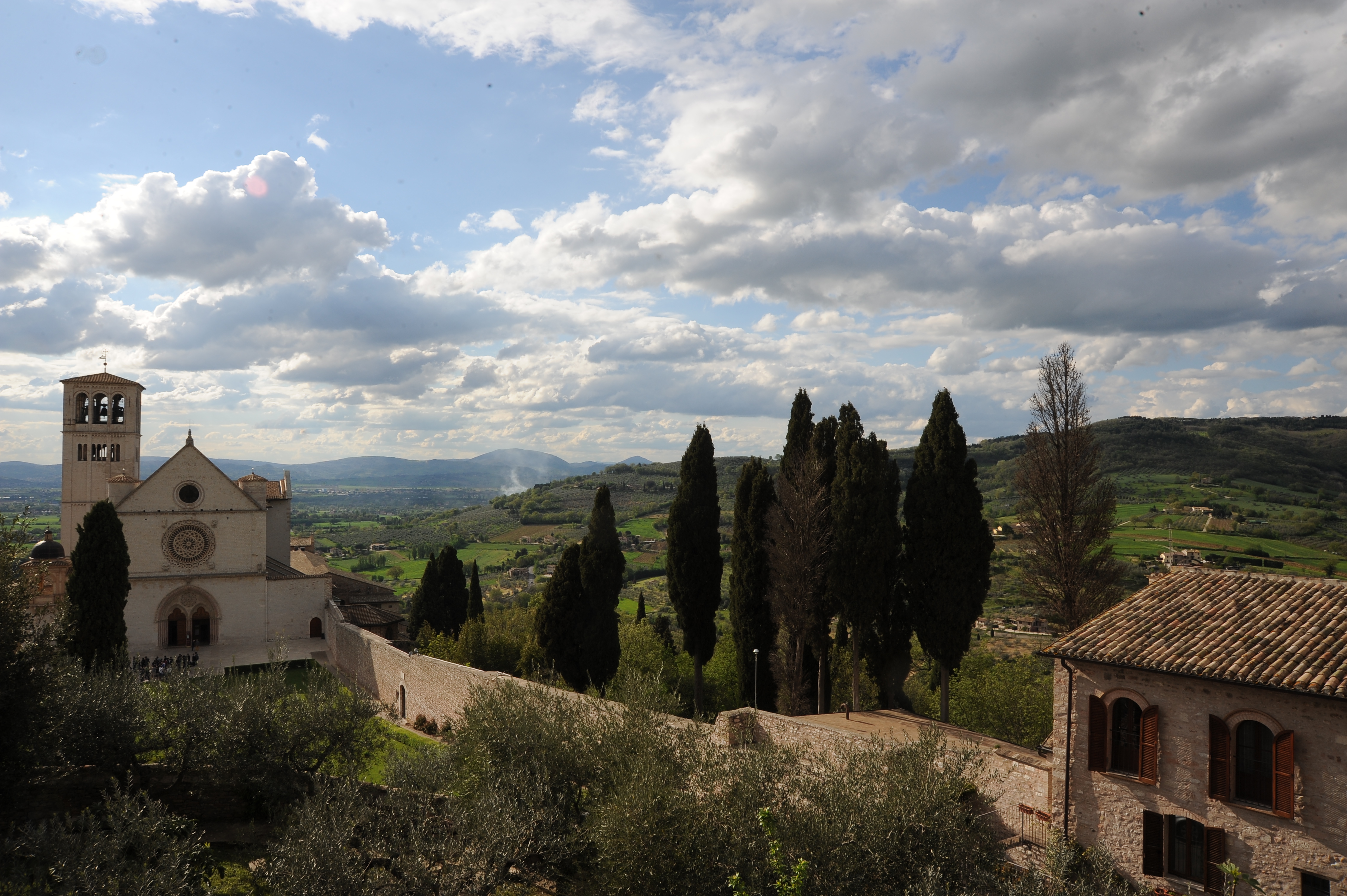 Vista panoramica su Assisi con tronco di albero in primo piano e, sullo sfondo, la Basilica di San Francesco da cipressi e colline verdi