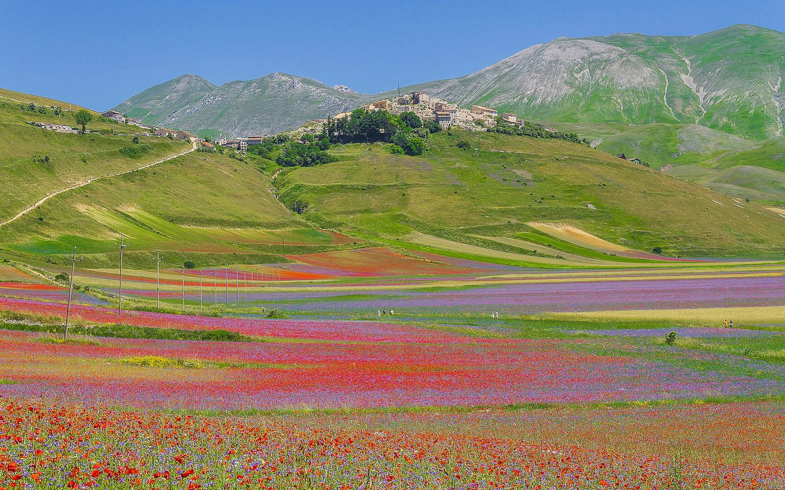 La Fioritura di Castelluccio di Norcia