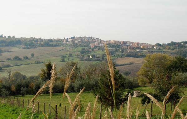  Hilly landscape with the village of Otricoli on the horizon, among cultivated fields, olive groves and wild vegetation. 
