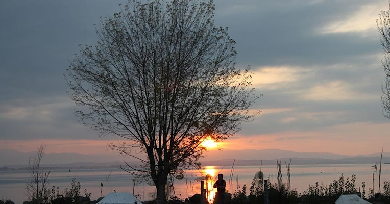 Tramonto dorato sul lago Trasimeno, con un albero spoglio in primo piano e la silhouette di una persona sulla riva.