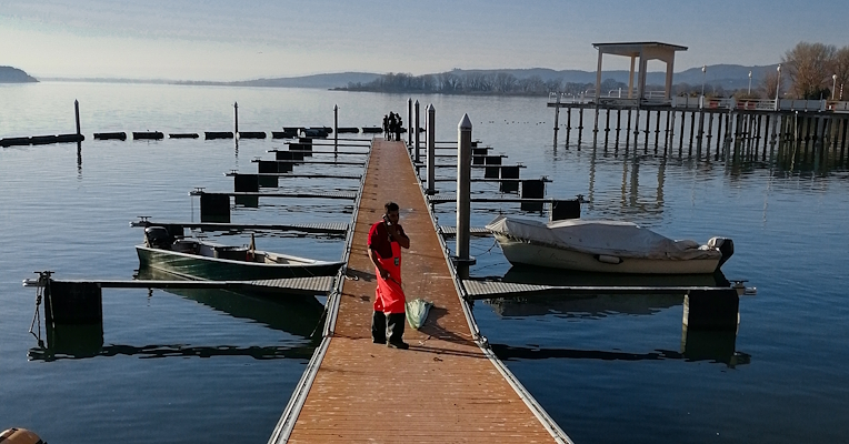 Un pontile in legno si estende sul lago Trasimeno, con barche ormeggiate e un pescatore in grembiule rosso al centro della scena.