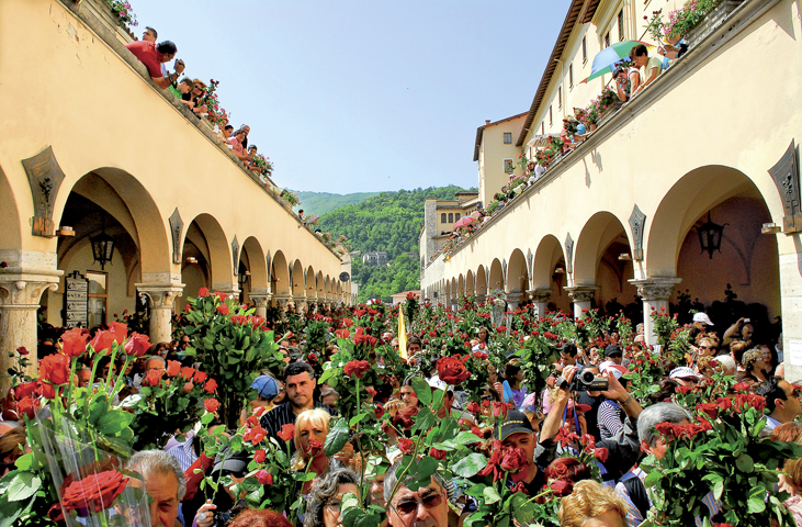 Saint Rita Celebrations