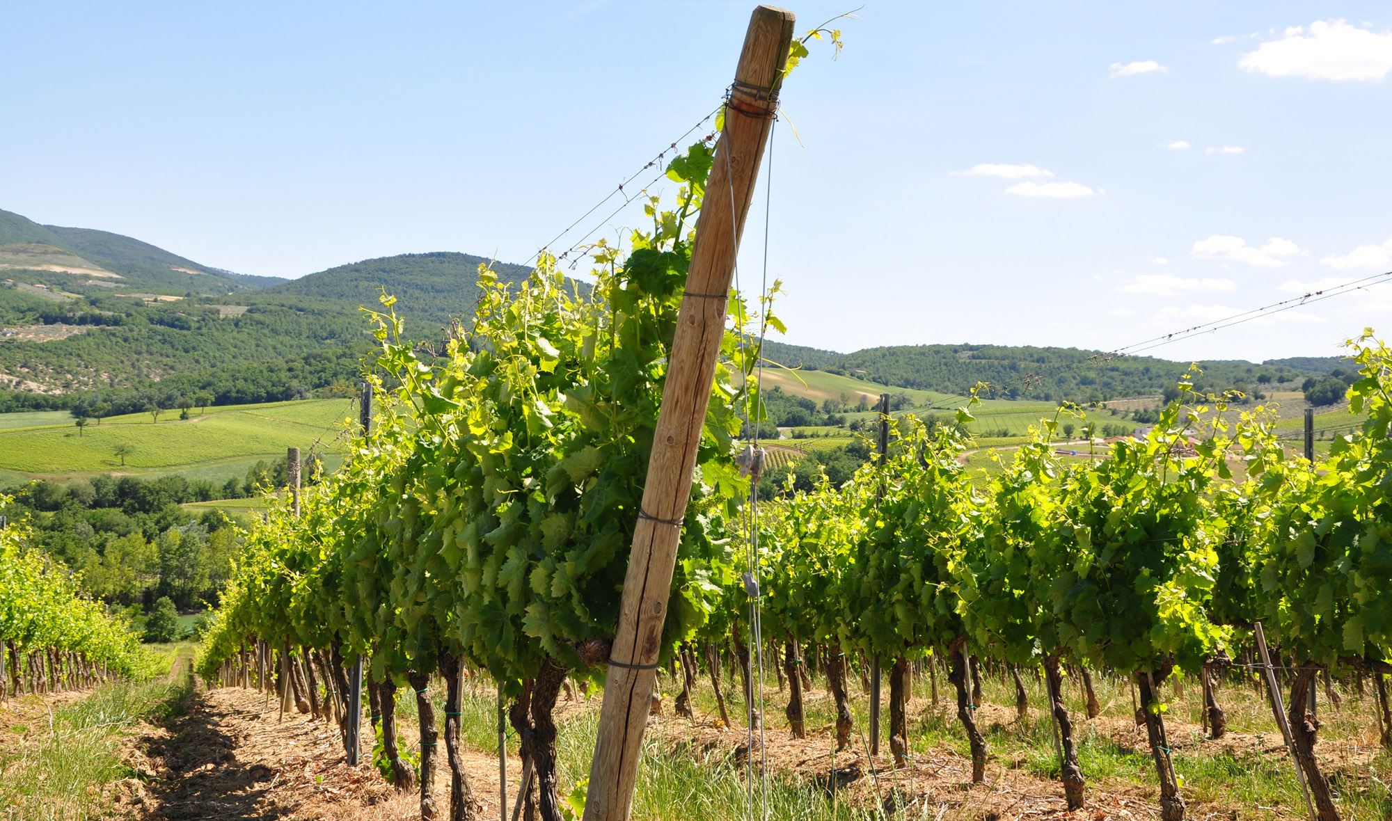 Sagrantino's Lands - Waiting for the Tour of Italy
