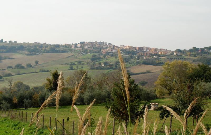 Paysage vallonné avec le village d’Otricoli à l’horizon, entre champs cultivés, oliveraies et végétation spontanée.