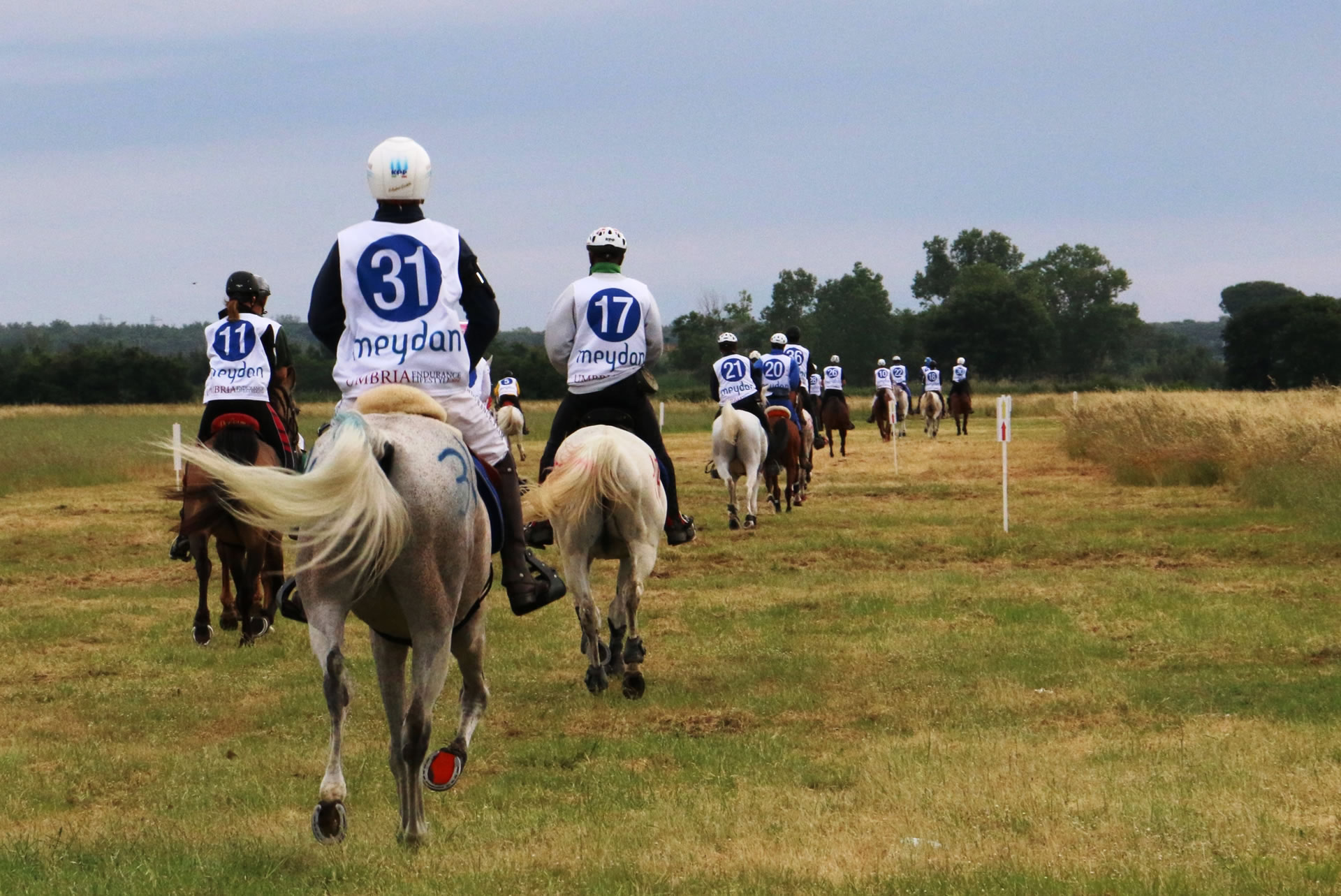 2016 Umbria Endurance Lifestyle
