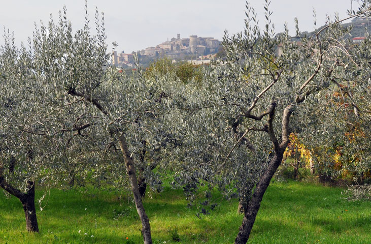 Sapere di Pane, Sapore di Olio – Brotwissen und Ölgeschmack