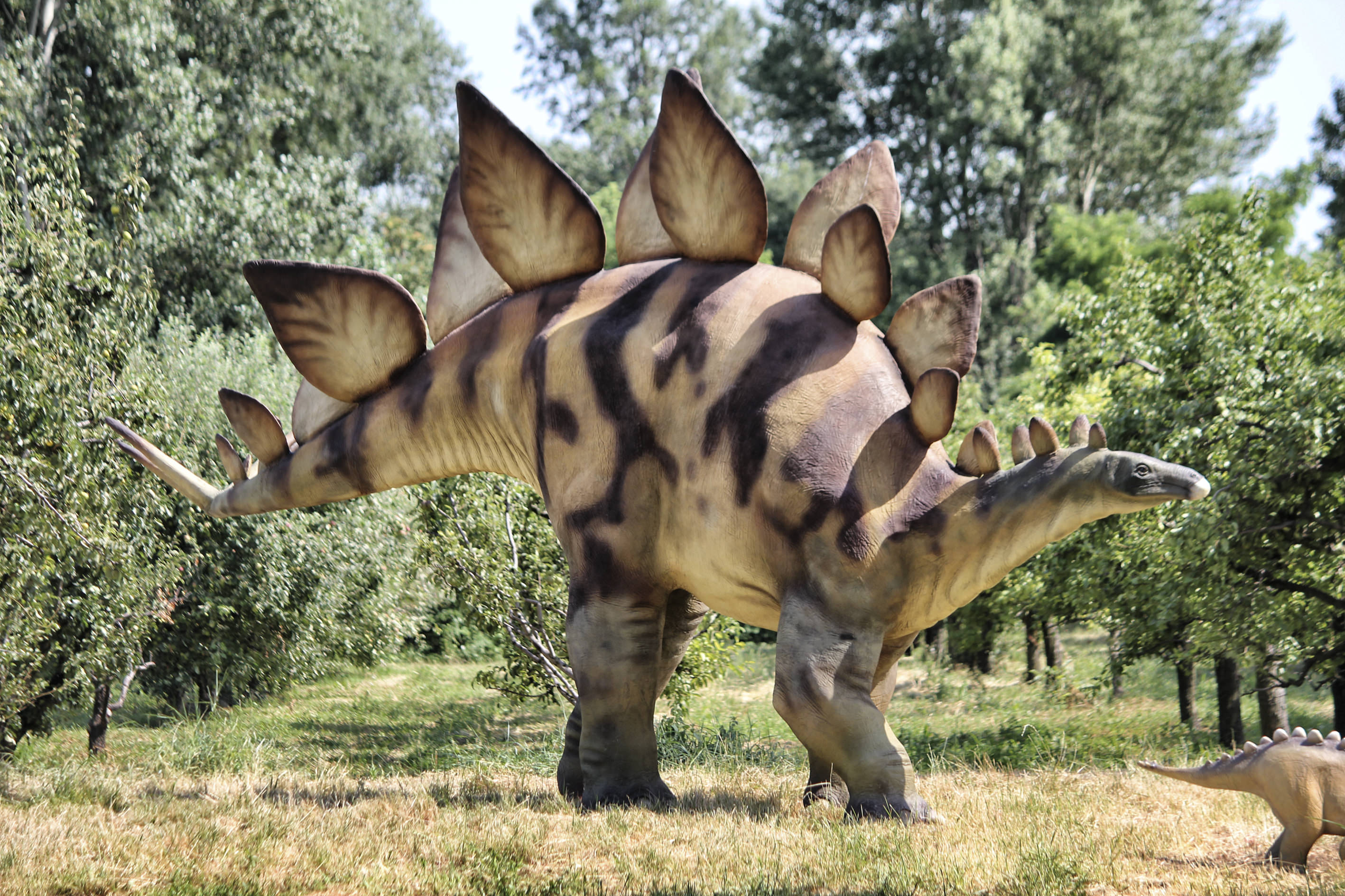 THE WORLD OF DINOSAURS