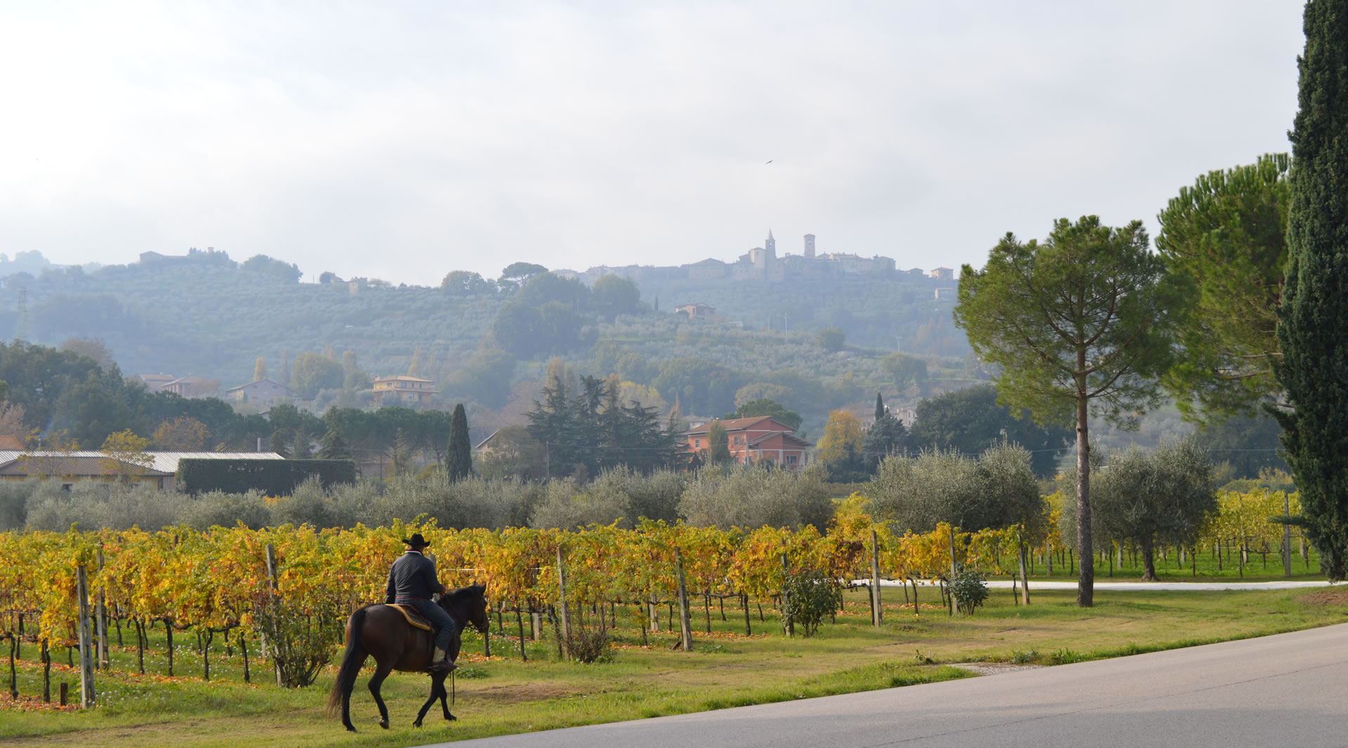 Persona a cavallo tra i vigneti autunnali con vista panoramica sul borgo collinare di Bettona immerso nel verde.