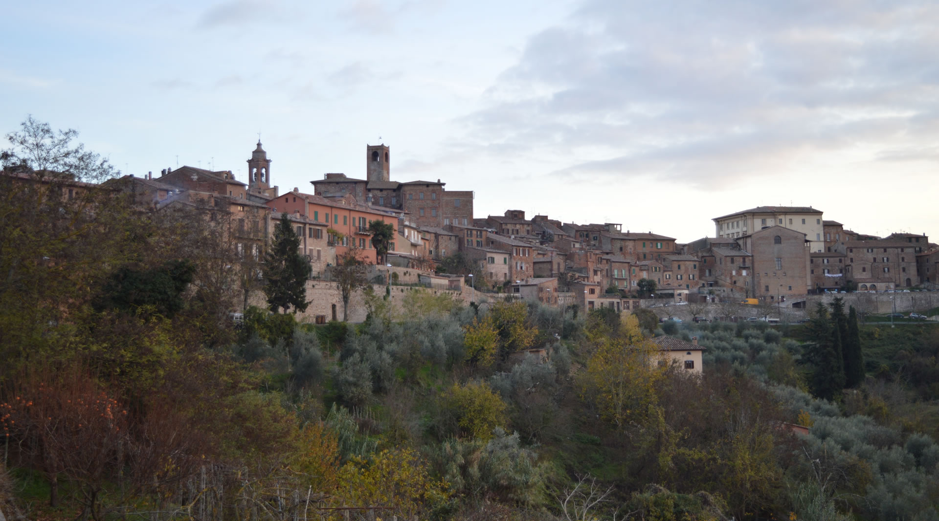 VIA DOLOROSA - Le 14 stazioni dipinte da David Petri