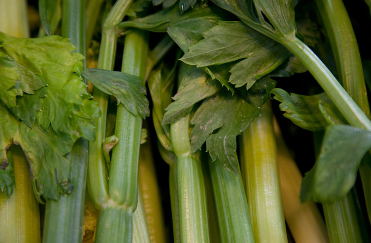 Market exhibition of the Black Celery of Trevi and Sausage Festival