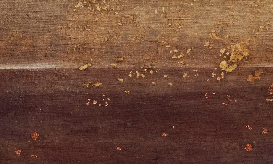 Summer exhibitions of Palazzo Collicola Arti Visive