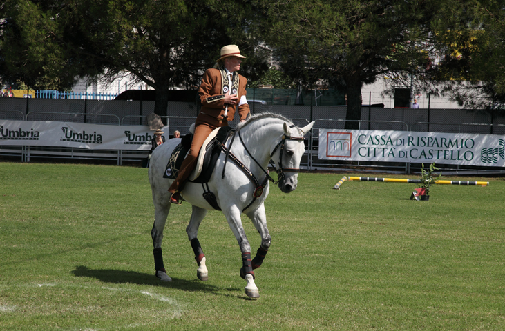 Mostra Nazionale del Cavallo