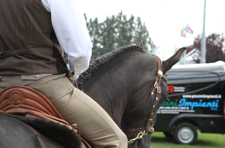 Mostra Nazionale del Cavallo
