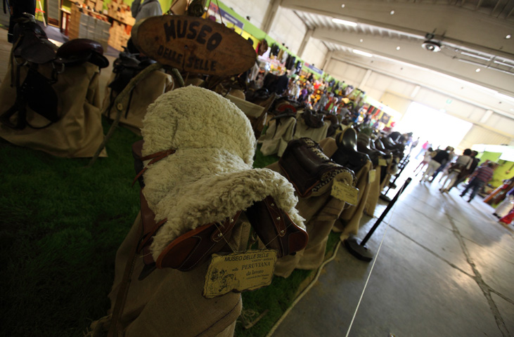 Mostra Nazionale del Cavallo