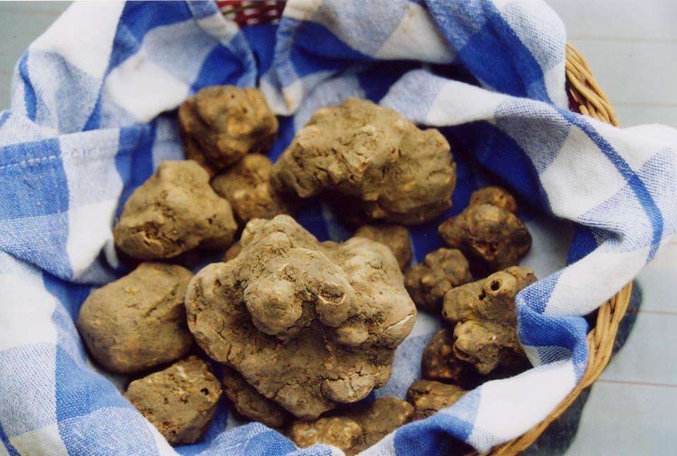 29th National Truffle Market Exhibition and Quality Food Fair