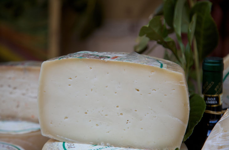 Cheese Fest