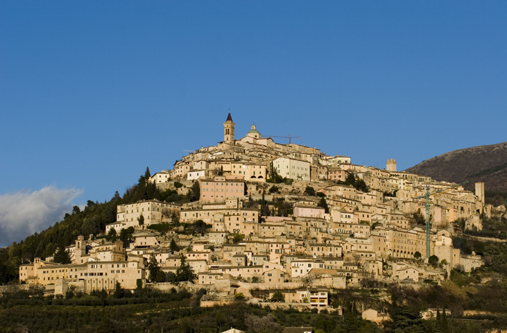 Trevi: Book's Cradle