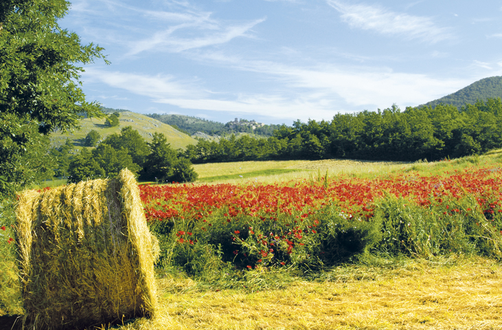 Primavera in Valnerina 2016: "…in erbis salus…"