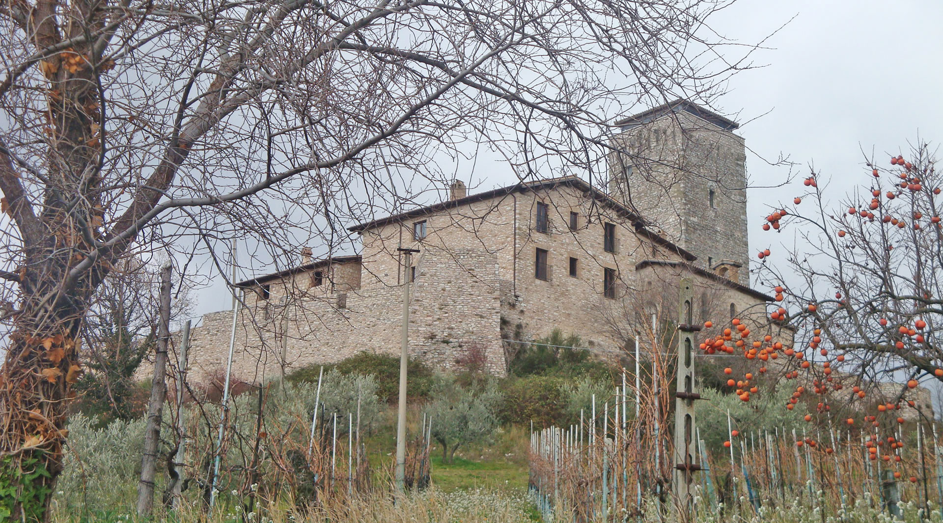 Valtopina