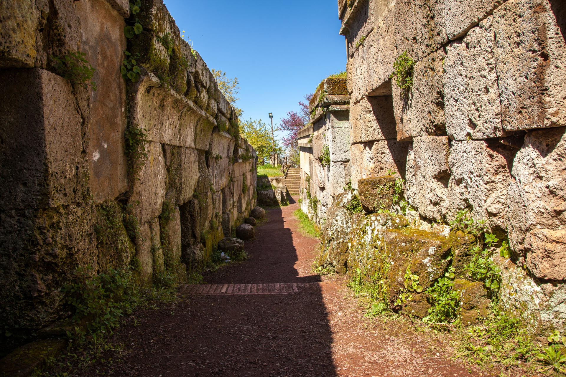 The Festival of Museums and the European Night of Museums