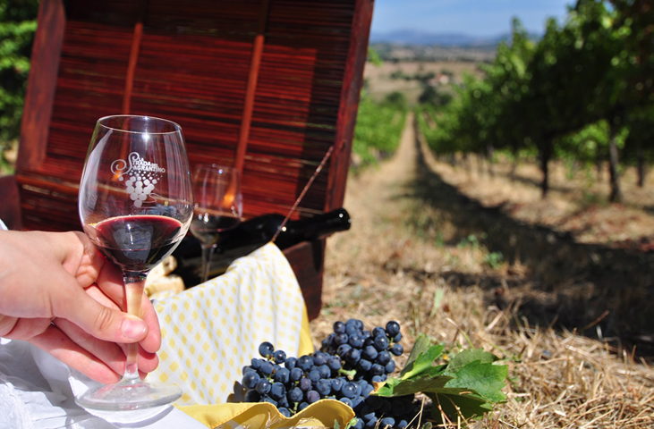 Montefalco nel bicchiere – Montefalco im Glas 2017