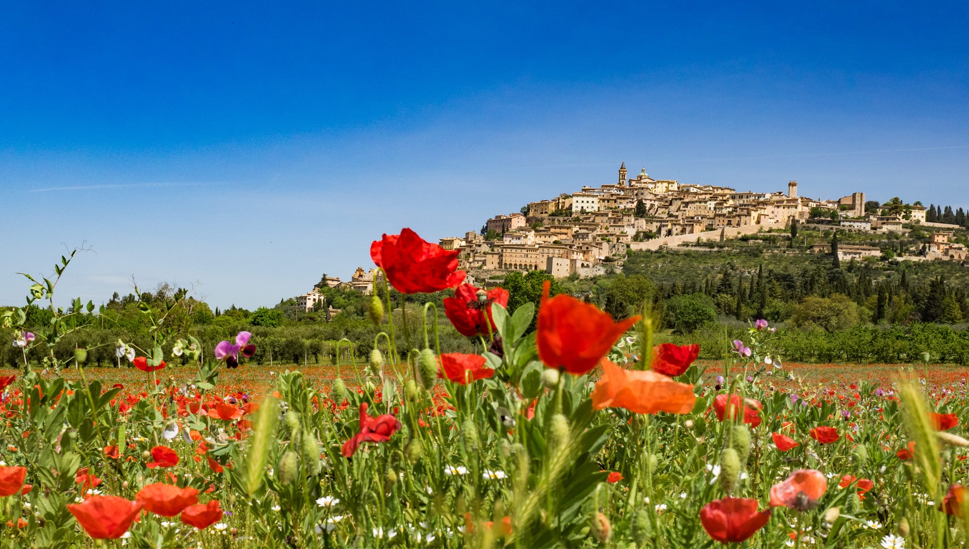 Una primavera di eventi a Trevi