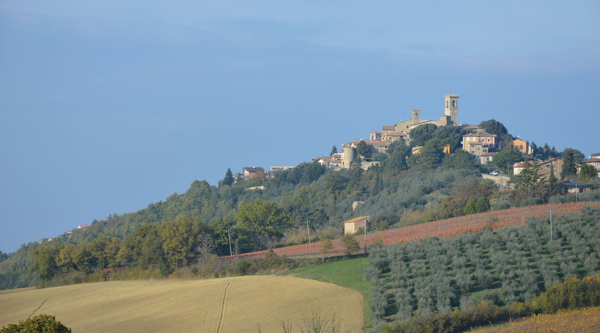 Collazzone