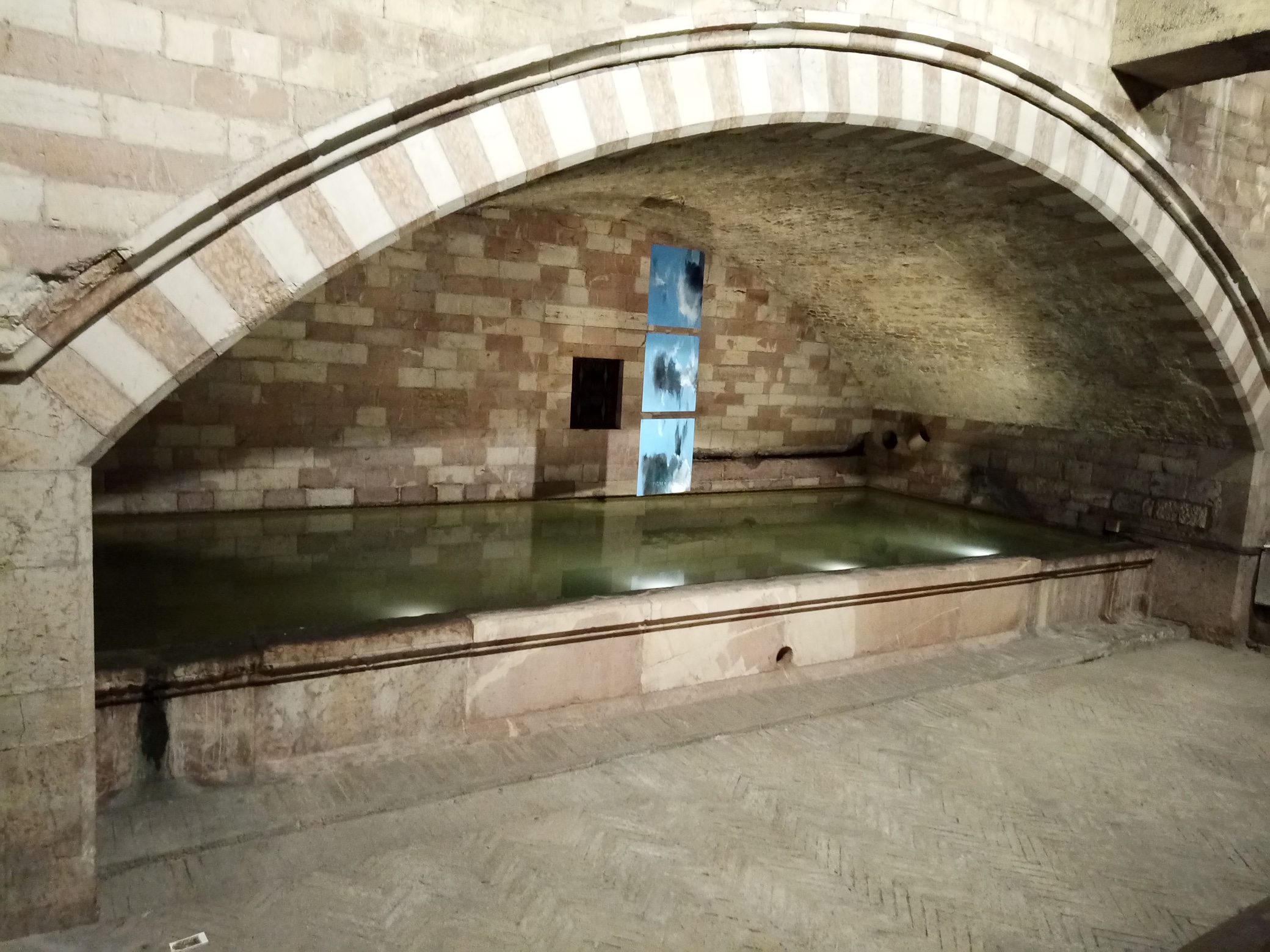 Fischer di Sergej Glinkov