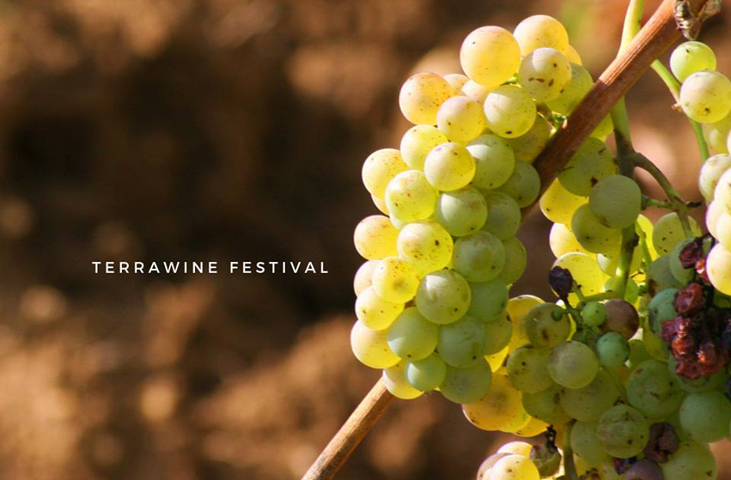 Terrawine Festival Winter Edition