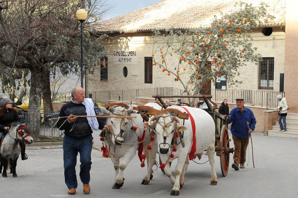 Rievocazione della Festa della Frasca