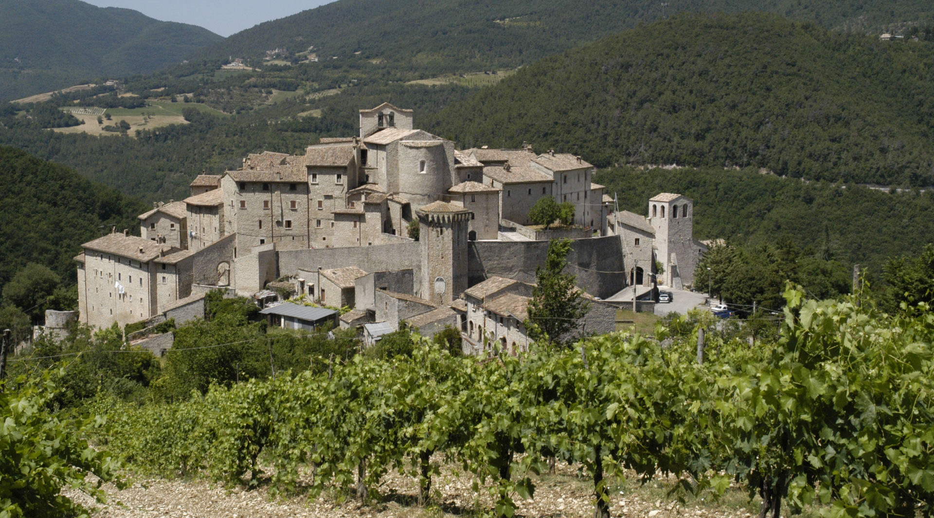 Veduta panoramica di Vallo di Nera, borgo umbro con case in pietra, vigneti in primo piano e colline verdi sullo sfondo.