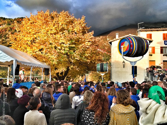The Barrels Race