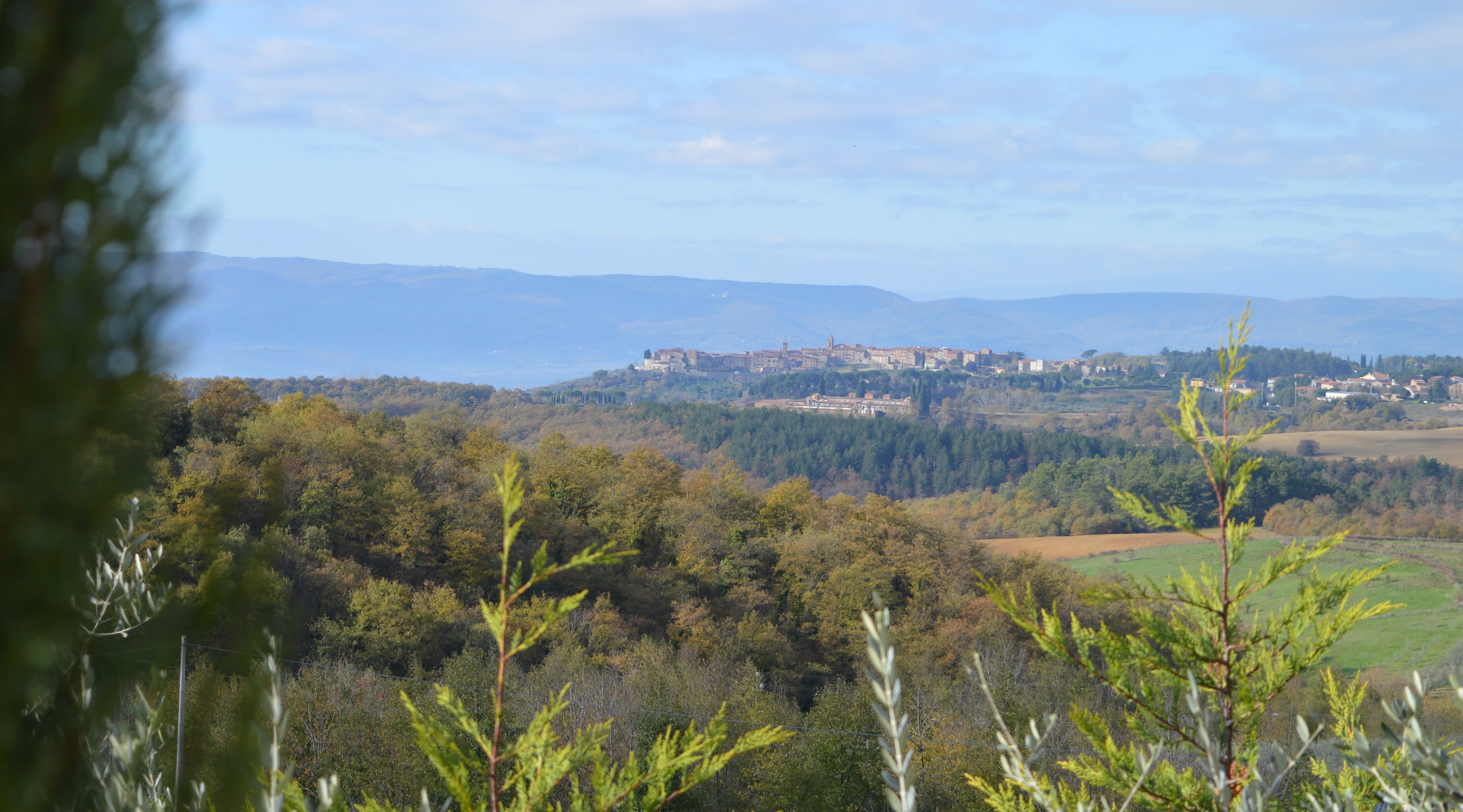 Vista panoramica su Monteleone di Orvieto, arroccato sulla collina, circondato da boschi e campi con sfondo montuoso azzurro.