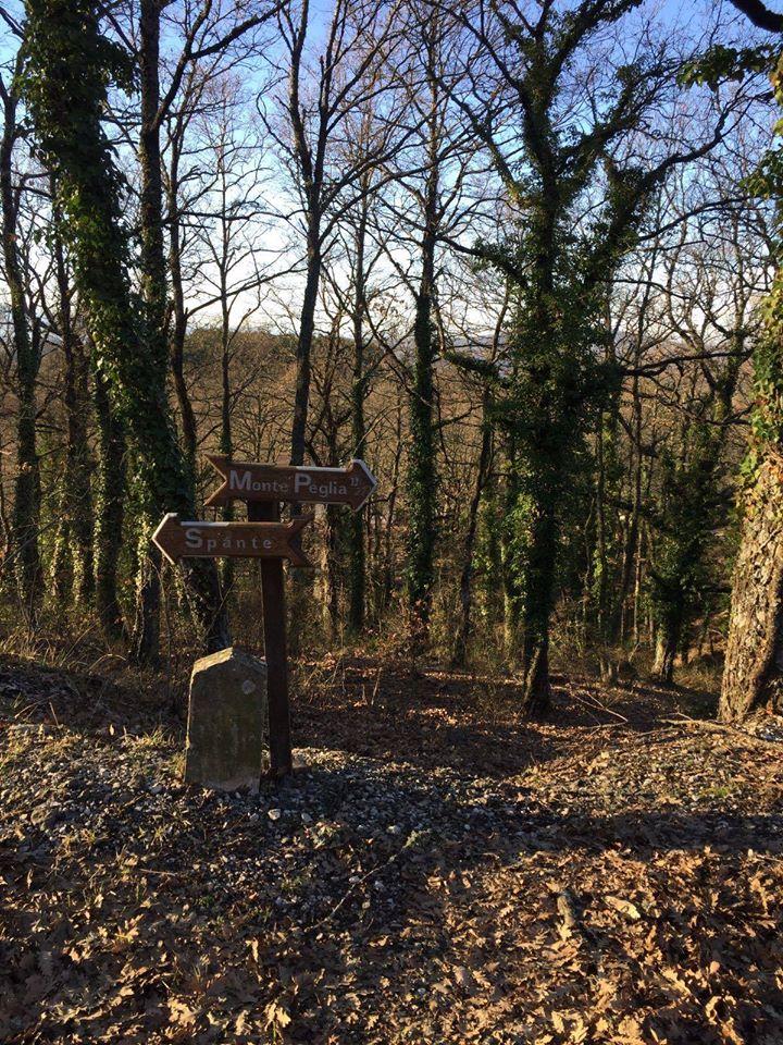 Riserva Mondiale della Biosfera Unesco del Monte Peglia