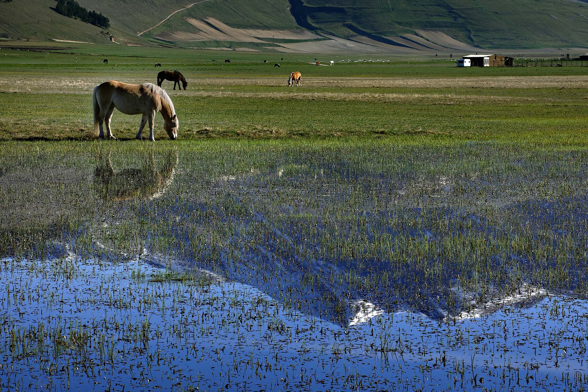 Trekking on the Sibillini Mountains