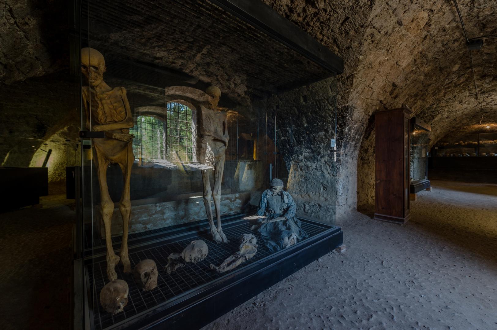 Sala del Museo delle Mummie di Ferentillo, con corpi naturalmente mummificati esposti nell’ipogeo della chiesa di Santo Stefano.